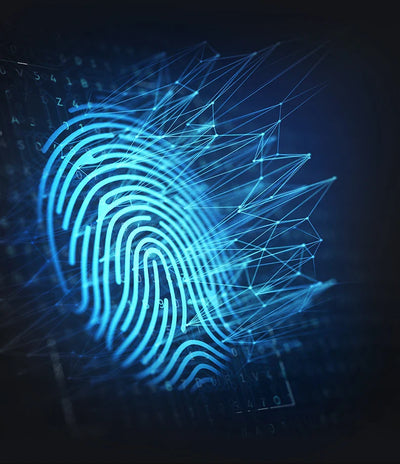 Remontoirs Design Moderne - 6 ou 9 Emplacements